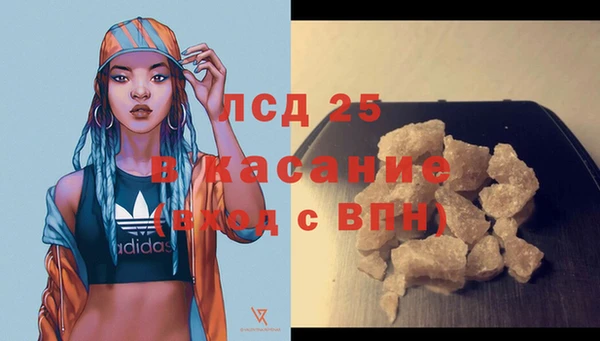 стаф Богородицк