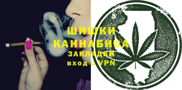 стаф Богородицк