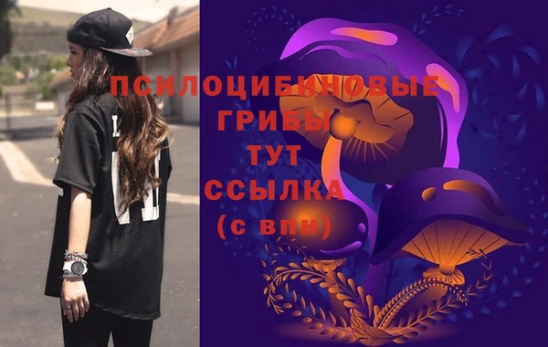 скорость Бородино