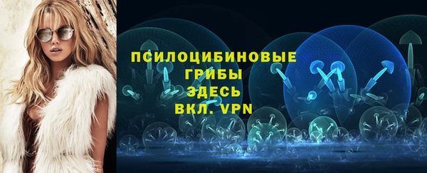 стаф Богородицк