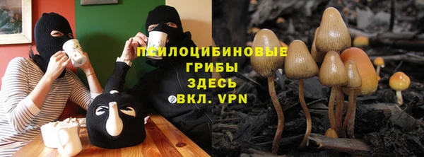 скорость Бородино