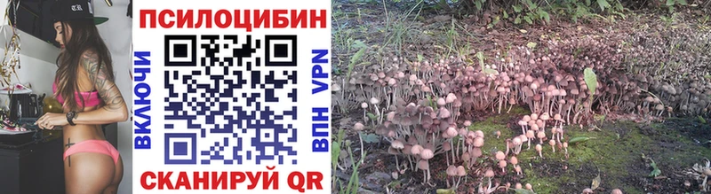 Псилоцибиновые грибы Psilocybe  Гаджиево 